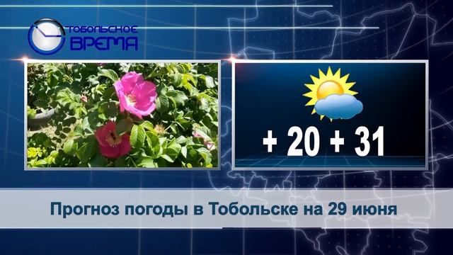 ПОГОДА на 29 июня