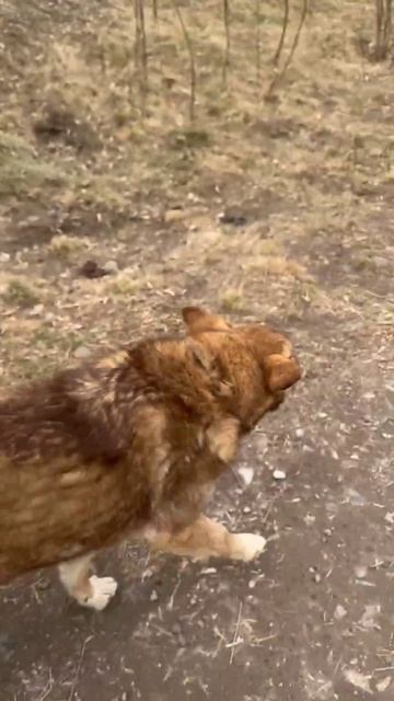 VID_20250420_075228_045