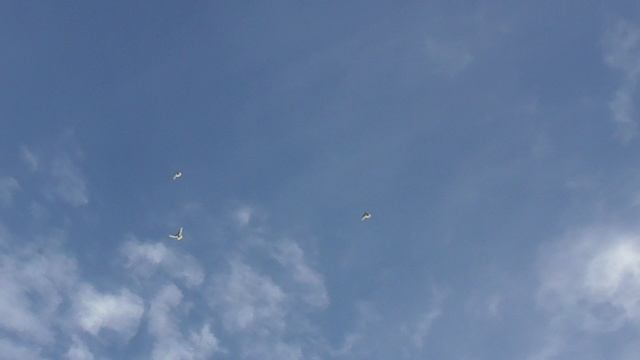 1000046582.mp4