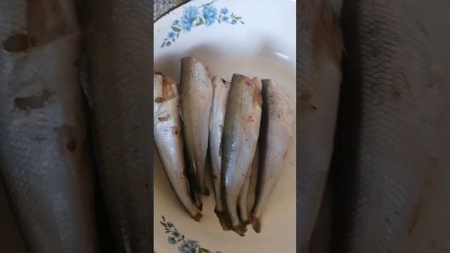 Корюшка жареная в мокрой планировке!