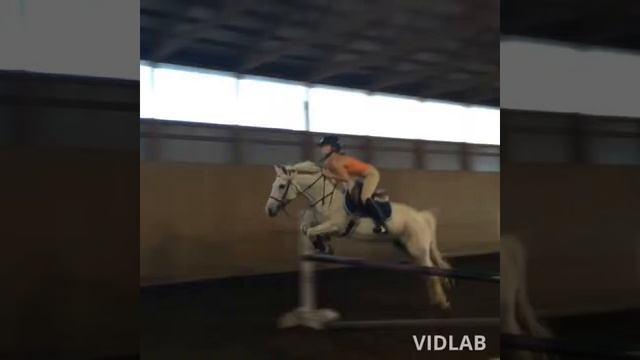 Anna and Her Fantasy Horse Jumping Their Highest Ever