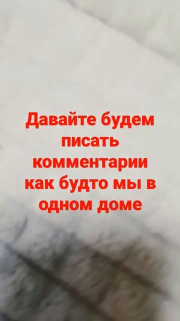 13 ноября 2022 г.