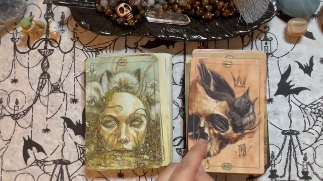 Hush Tarot Reimagined