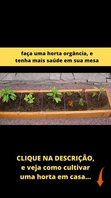 4 ideias de como cultivar uma horta orgânica #shorts
