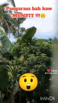 электричество 😂