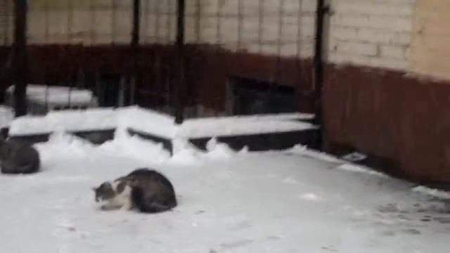 я выхожу из подъезда