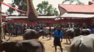 Indonezja - Inny Świat (Indonesia - other world)