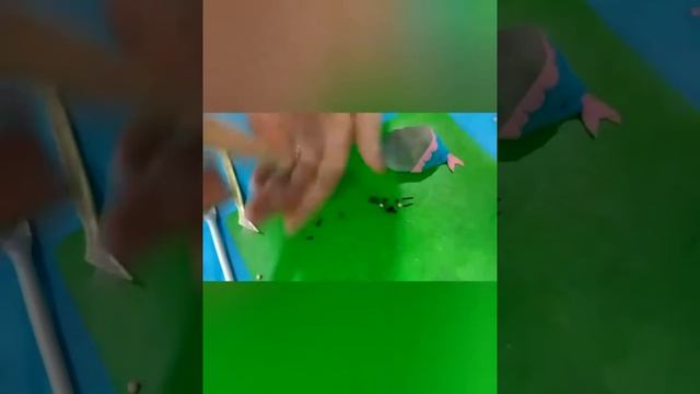 пирожное Cake Pops