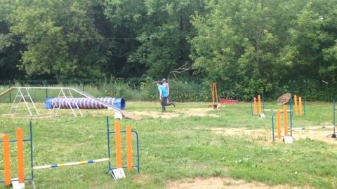 Сергей и Тара а-1