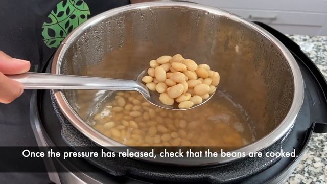 Vaal Ringan nu Shak Recipe | Vaal Curry Recipe | Field Beans & Aubergine Curry | Vegan Bean Curry