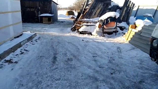 Кулибин  калек