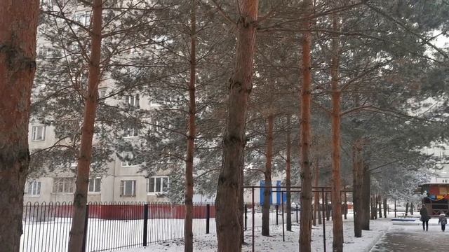 ВОТ ТАКУЮ ЗИМУ Я ЛЮБЛЮ! Не могла не поделиться с вами этой красотой.