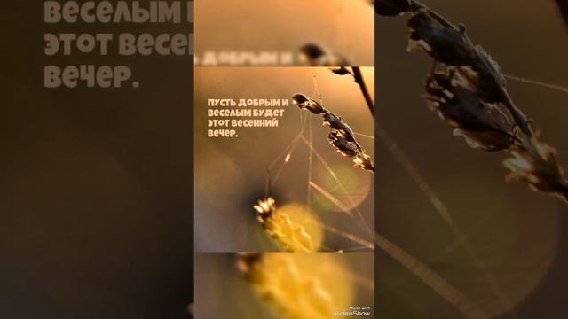 Сөю гөле