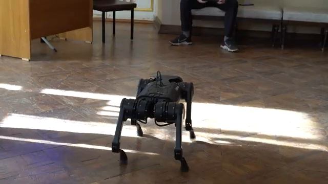 III Весенняя школа МАИ. Новости Доры выпуск 3