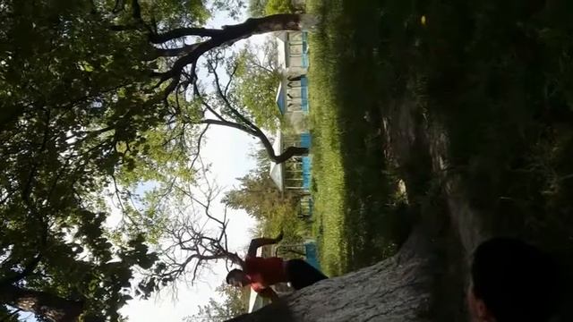 ли.   рис.   р