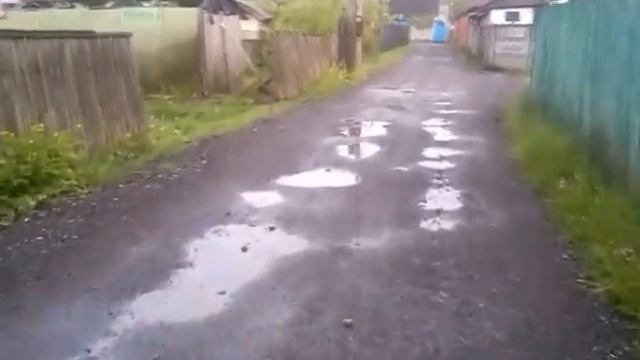 Боярка. Уборка мусора