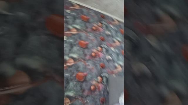 Матвей Сонг