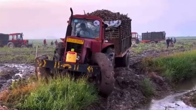 MTZ 900 tractor Belarus 90HP Turbo Performance on full loaded trolly🔥#belarus(part1)