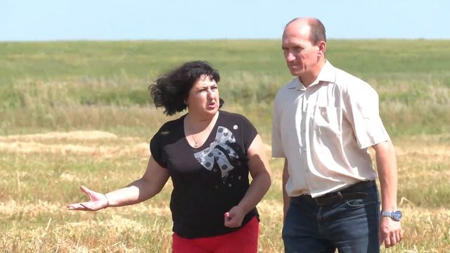 Амурские аграрии завершают уборку ранних зерновых