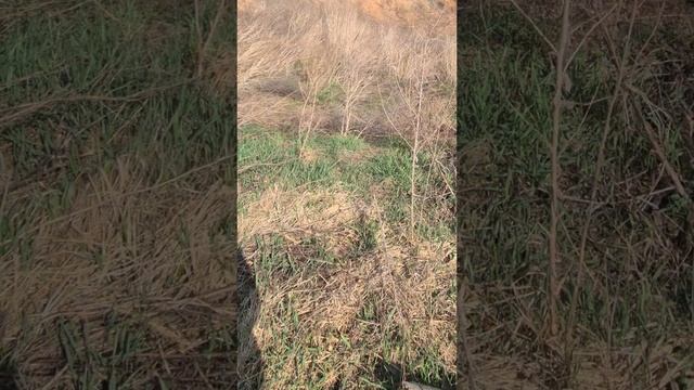 "Кросс-кантри" или как не заблудиться.  Катаемся. Любуемся природой. (См. описание)