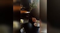 29.04.25. Мотовыставка в DAA EXPO. Санкт-Петербург. ч 1.