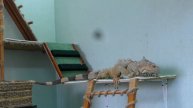 Кивина вздрагивает