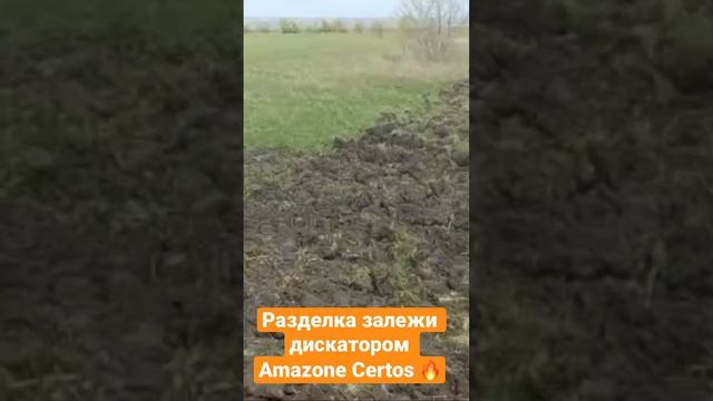 Разделка залежи дискатором Amazone Certos 🔥#amazone #tillage #certos #диски #дискатор #борона #egge