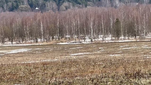 20-04-2025поиск
