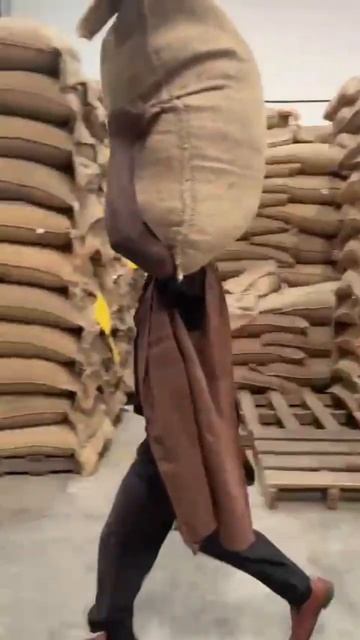Kenya Specialty Coffee #coffee #specialtycoffee #kahawa #kenyancoffee #solai #coffeeroasters