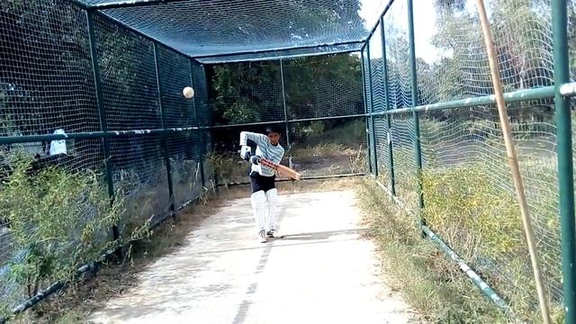 cricket back foot batting drill