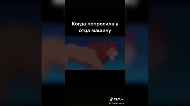 Теперь я смотрю тик ток
