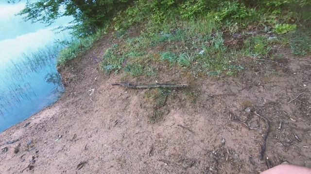 LRF Takımları ile Turna ve Levrek (perch) avı
