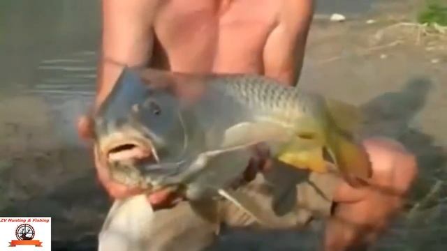 a film about carp fishing.  фильм о карповой ловле
