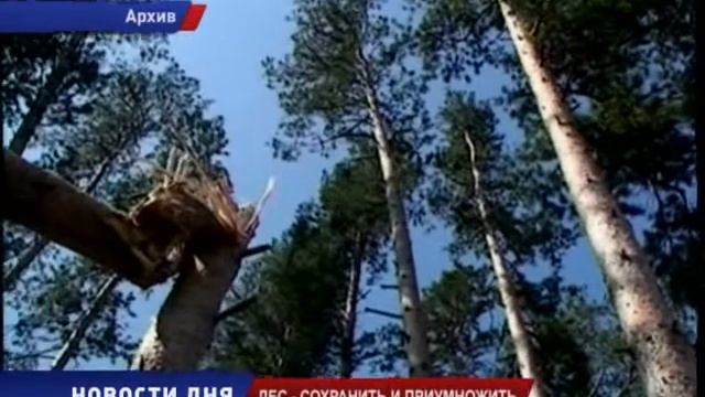 Лесное министерство предлагает сажать новые породы деревьев