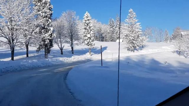 Карпаты зимой