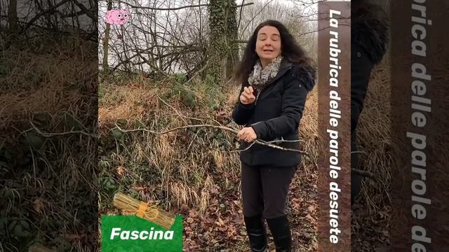 FASCINA (La rubrica delle parole desuete di Giada Trebeschi)