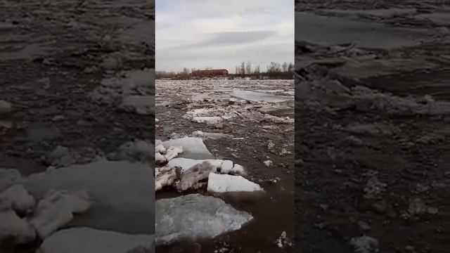 Рака Белая)лёд тронулся