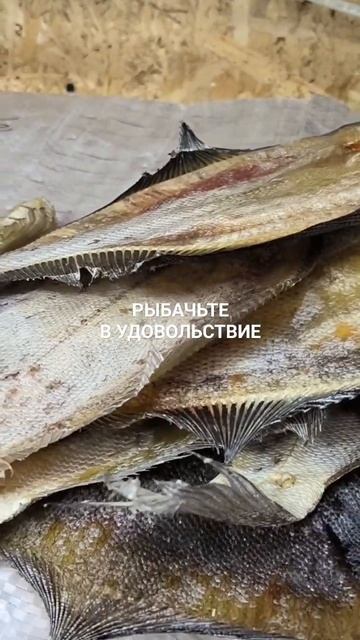 Вяленый ёрш отправка по регионам.