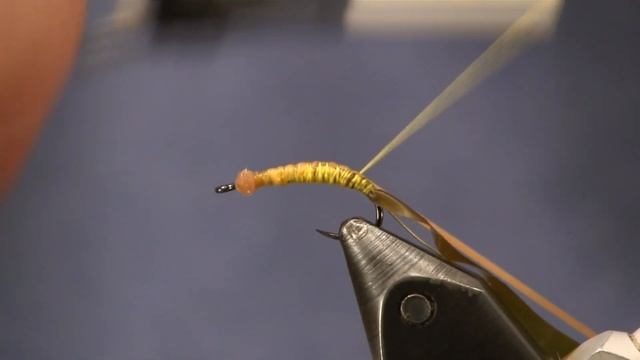 Squirmy Grub, Holsinger's Fly Shop