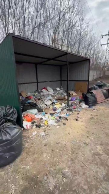 VID_20250401_135519_173