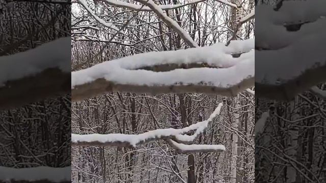 Единение с природой 2019