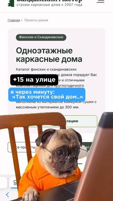 ЛУЧШИЕ проекты домов 2025.