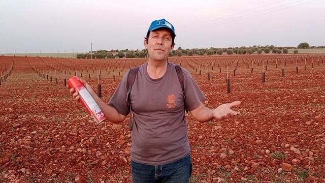 Vuelve la clytra, pero.....estamos "mu preparaos"