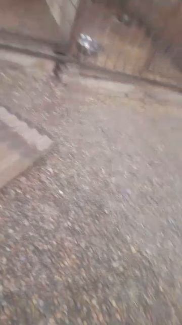 VID_20250406_094000_560