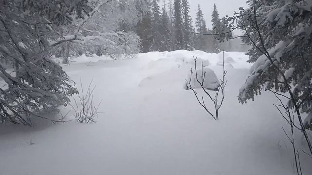 Иремель. 3.01.23.Каменная река