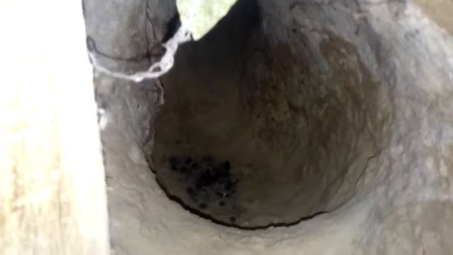 Содержание кроликов  в яме