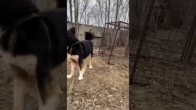 VID_20250401_135716_968