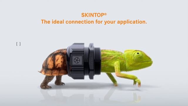 SKINTOP