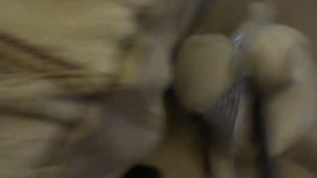 Camelion 5127 vs Бегемот