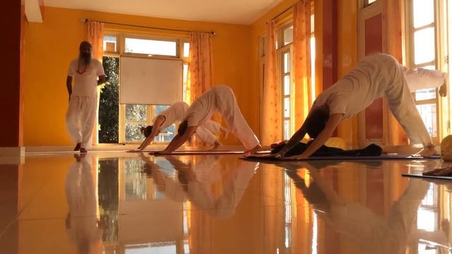 Yoga Sun Salutations at Kailash Tribal School of Yoga